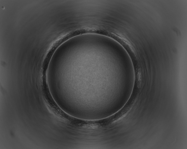 X0000090970492200708021440