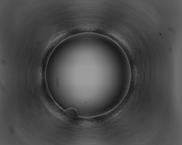 X0000090970494200708021440