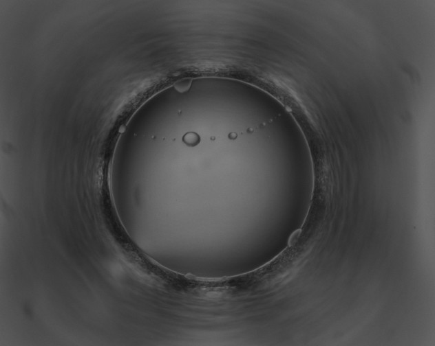 X0000090970495200708021440