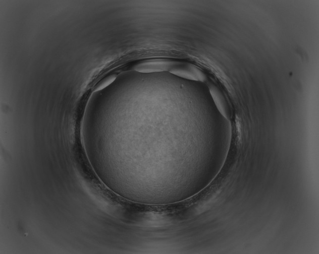 X0000090970496200708021440