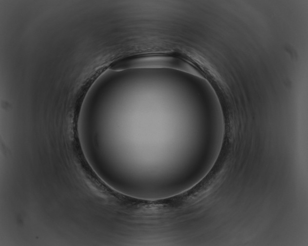 X0000090970497200708021440