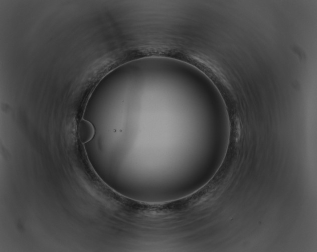 X0000090970498200708021440