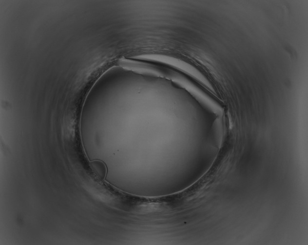 X0000090970499200708021440