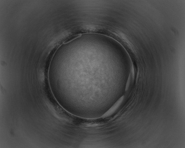 X0000090970500200708021440