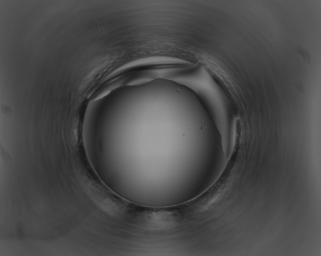 X0000090970501200708021440