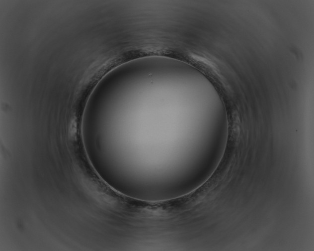 X0000090970502200708021440