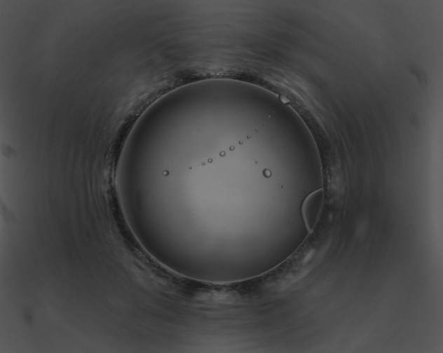 X0000090970503200708021440