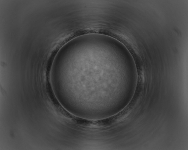 X0000090970504200708021440