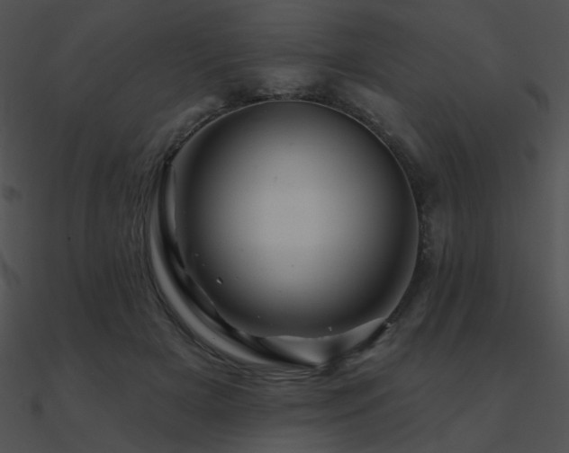 X0000090970505200708021440