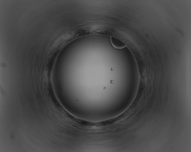 X0000090970506200708021440