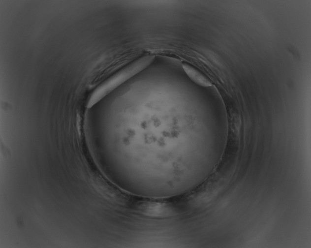 X0000090970507200708021440