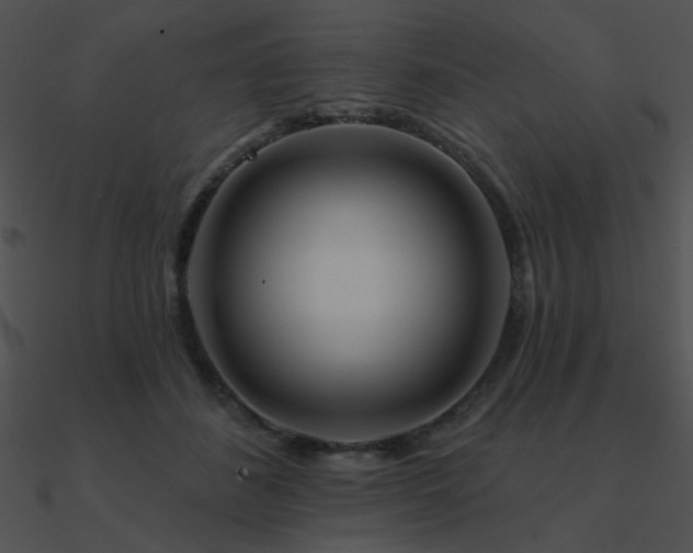 X0000090970508200708021440