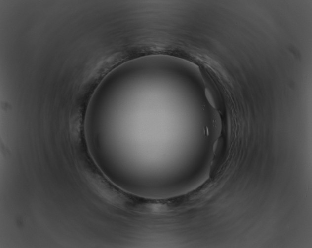 X0000090970509200708021440