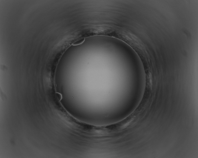 X0000090970510200708021440