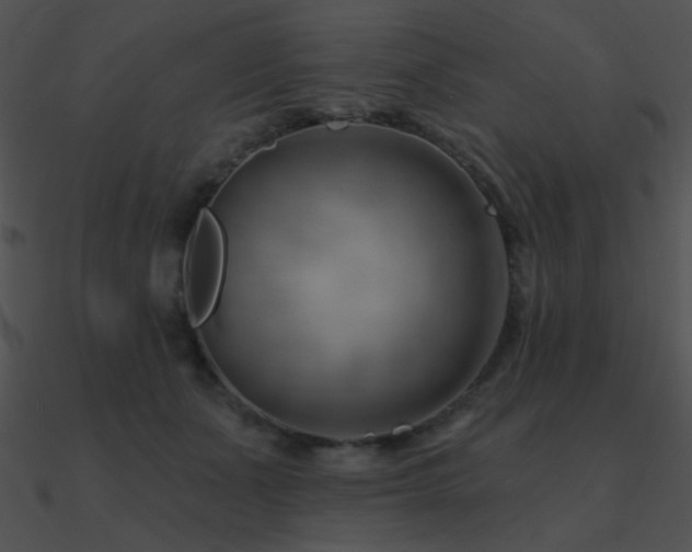 X0000090970511200708021440