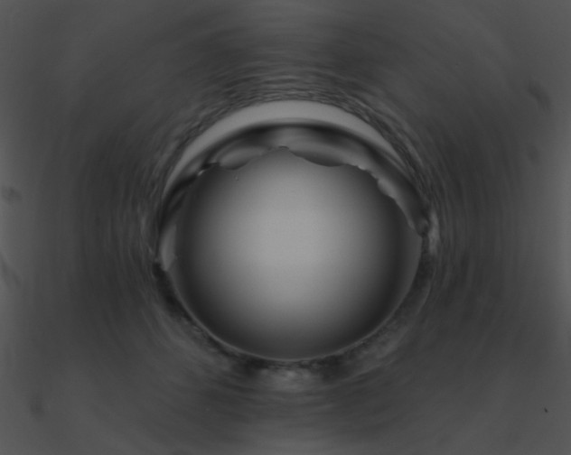 X0000090970512200708021440