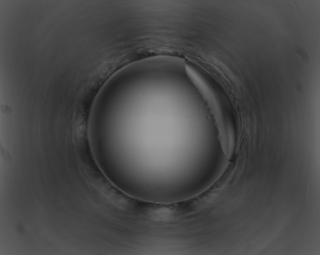 X0000090970513200708021440