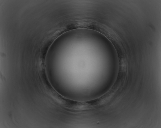 X0000090970514200708021440