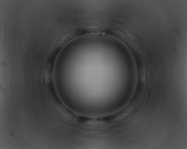 X0000090970515200708021440