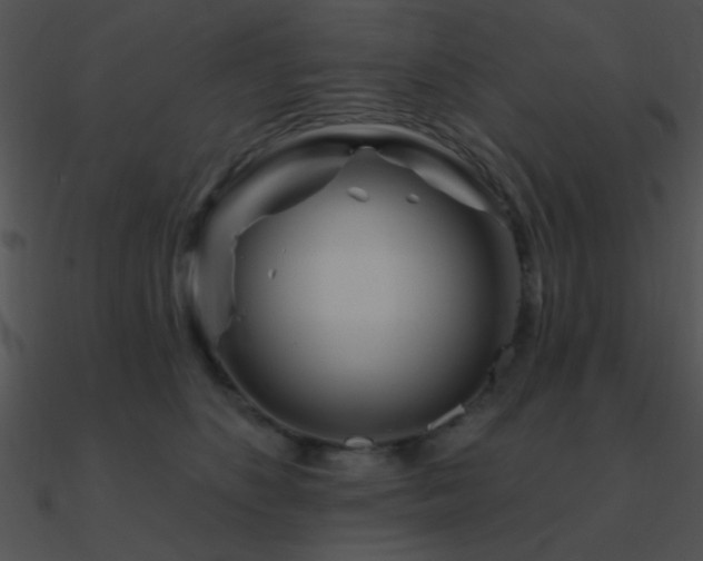 X0000090970516200708021440