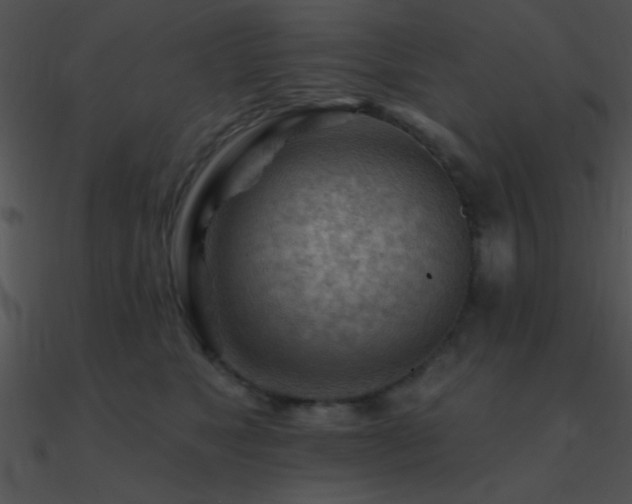 X0000090970517200708021440