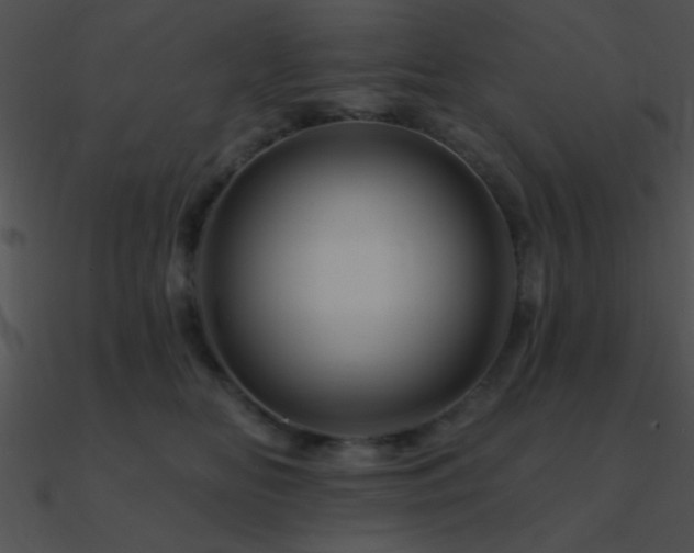 X0000090970518200708021440