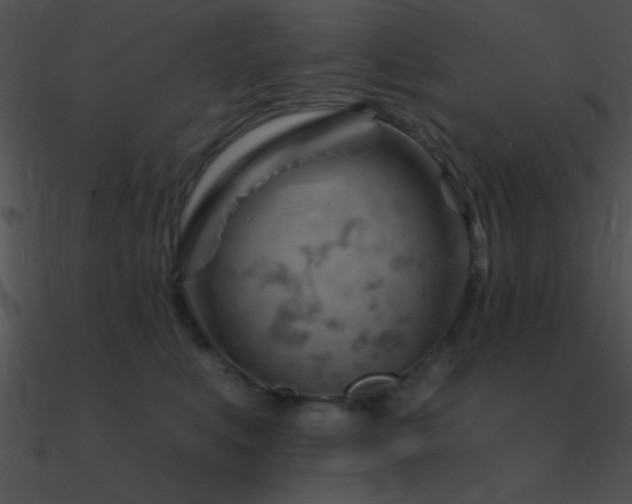 X0000090970519200708021440