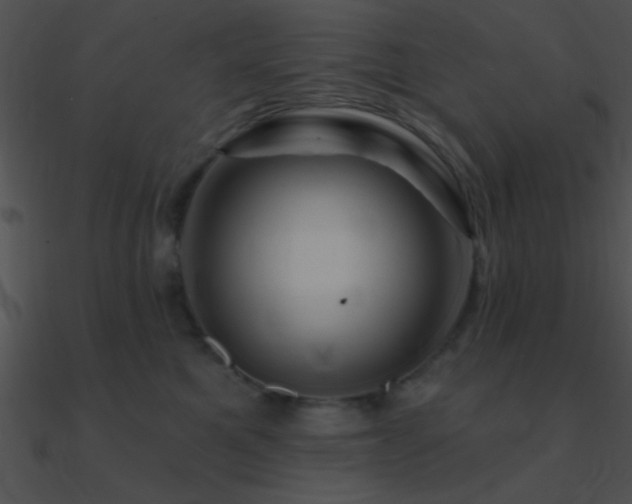 X0000090970521200708021440