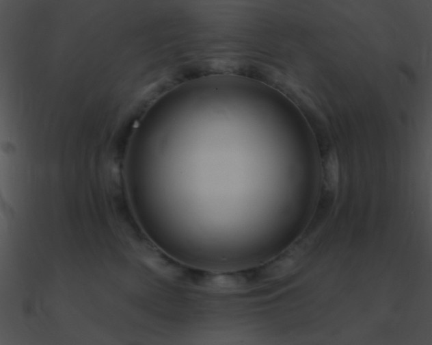 X0000090970522200708021440