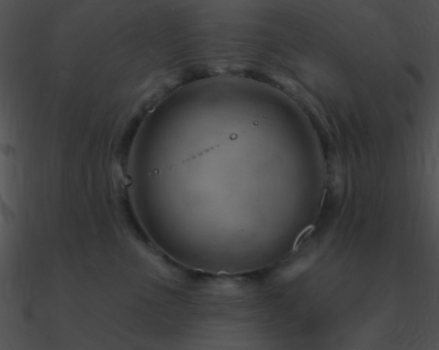 X0000090970523200708021440