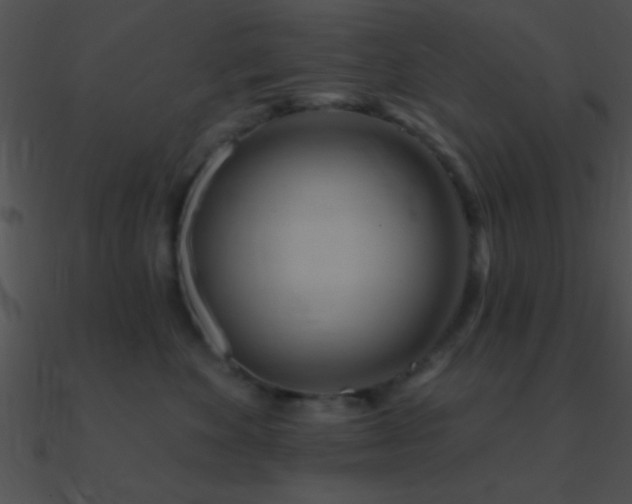 X0000090970524200708021440