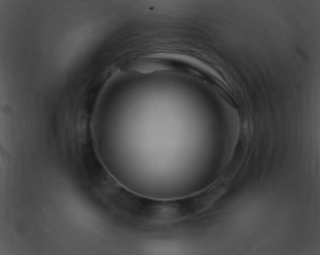 X0000090970525200708021440