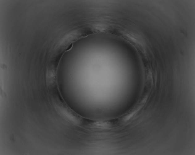 X0000090970526200708021440