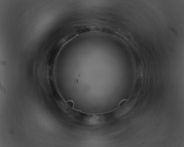 X0000090970527200708021440