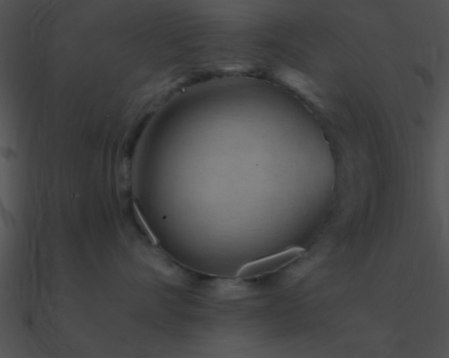 X0000090970528200708021440