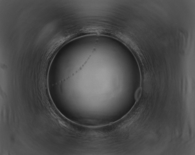 X0000090970529200708021439