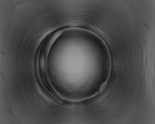 X0000090970530200708021439