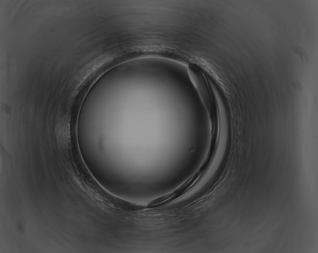 X0000090970531200708021439