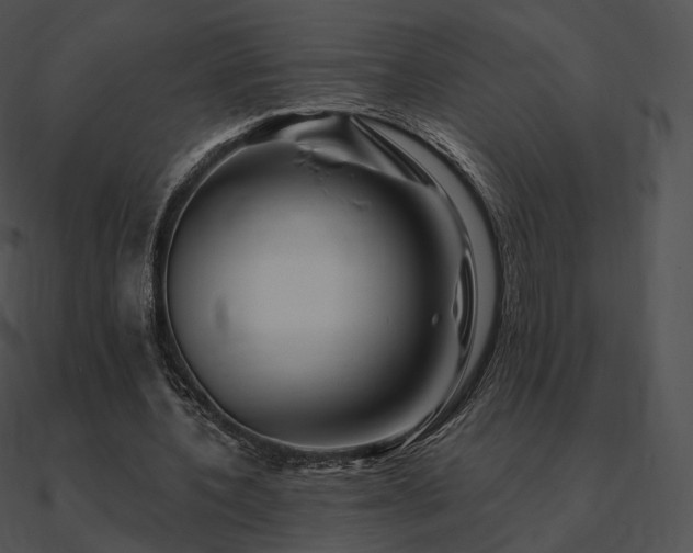 X0000090970532200708021439