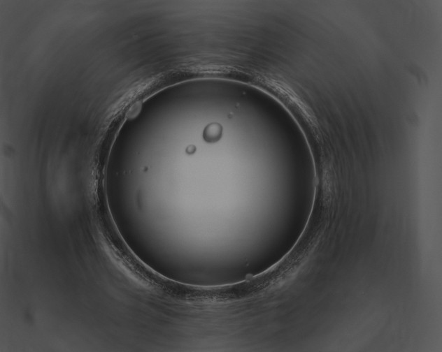 X0000090970533200708021439