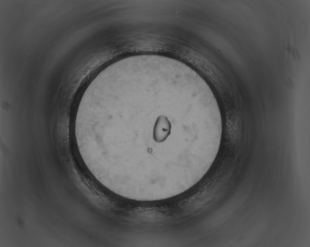 X0000090970534200708021439