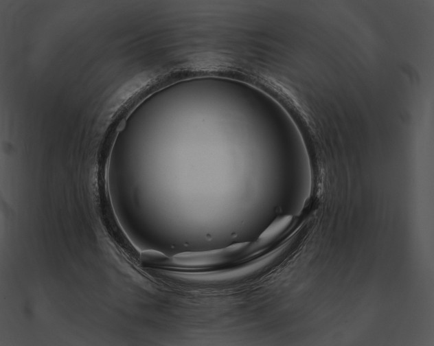 X0000090970535200708021439