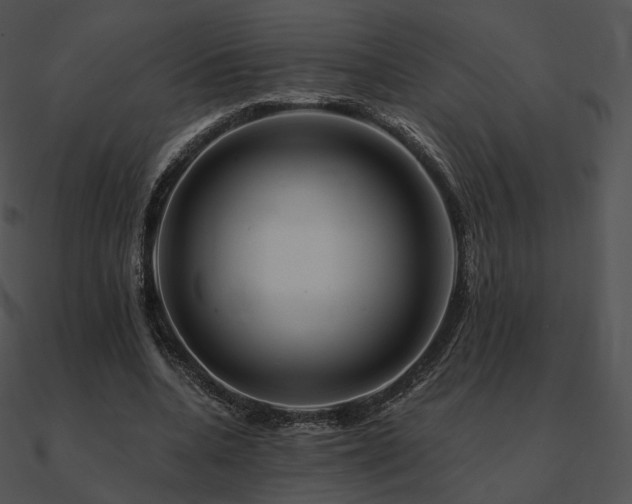 X0000090970536200708021439