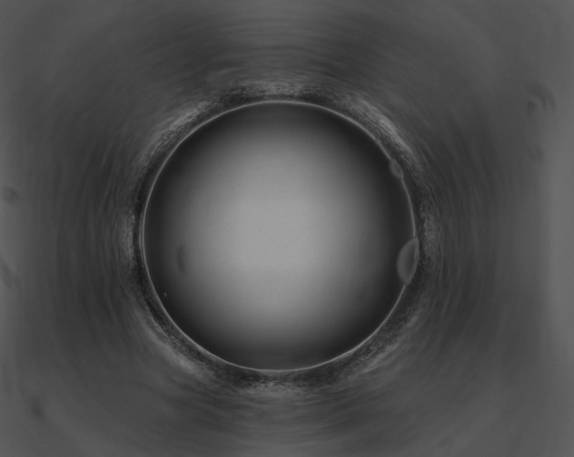 X0000090970537200708021439