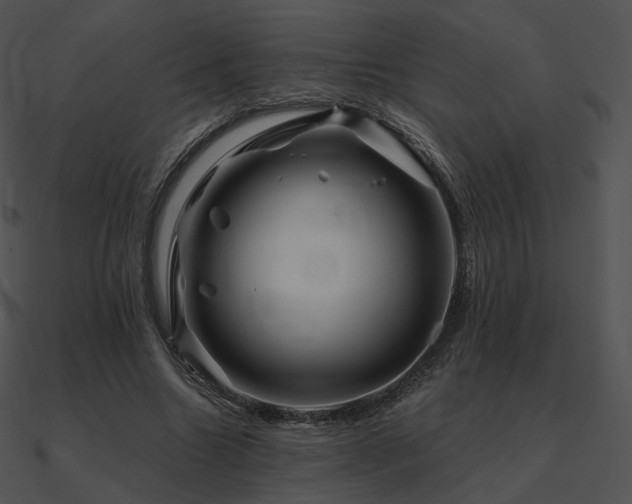 X0000090970538200708021439