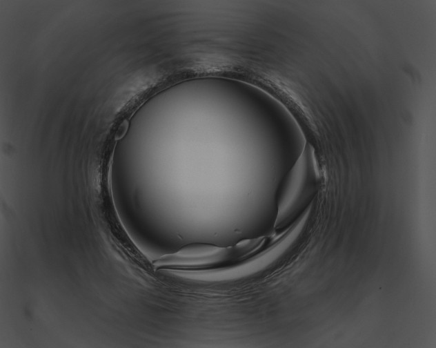 X0000090970539200708021439