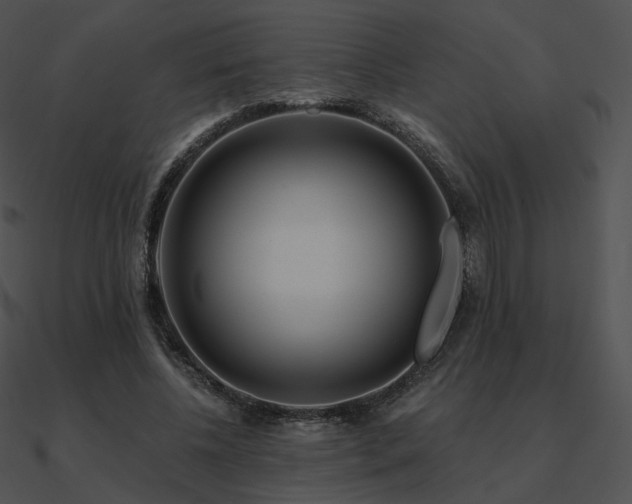 X0000090970540200708021439