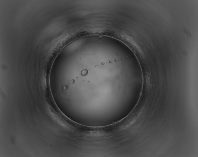 X0000090970541200708021439