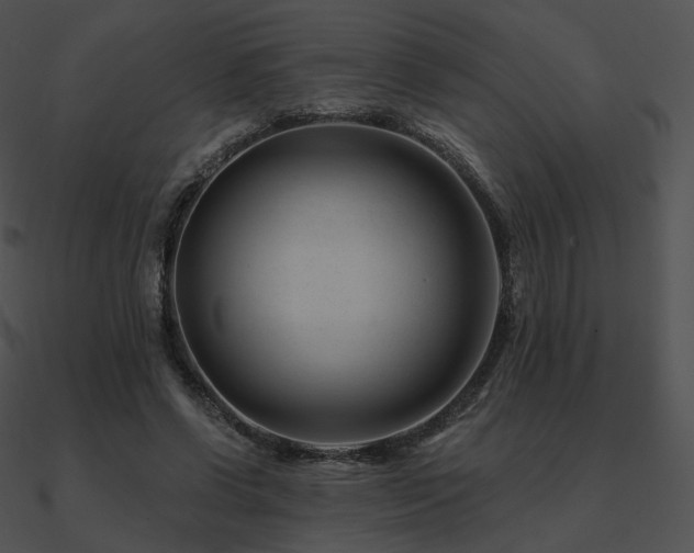 X0000090970542200708021439