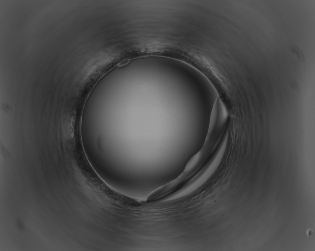 X0000090970543200708021439